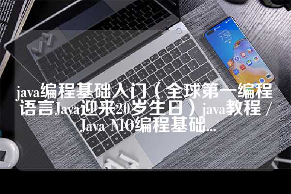java编程基础入门（全球第一编程语言Java迎来20岁生日）java教程 / Java NIO编程基础...